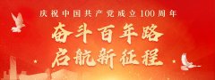 单位组织观看了建党100周年庆祝大会，开始思考一些问题